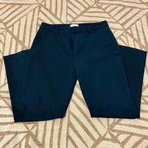 Calvin Klein Navy Blue Pants